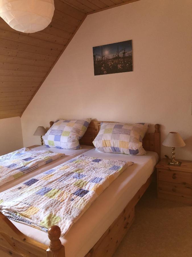 Ferienhaus Irene 福格茨堡 外观 照片