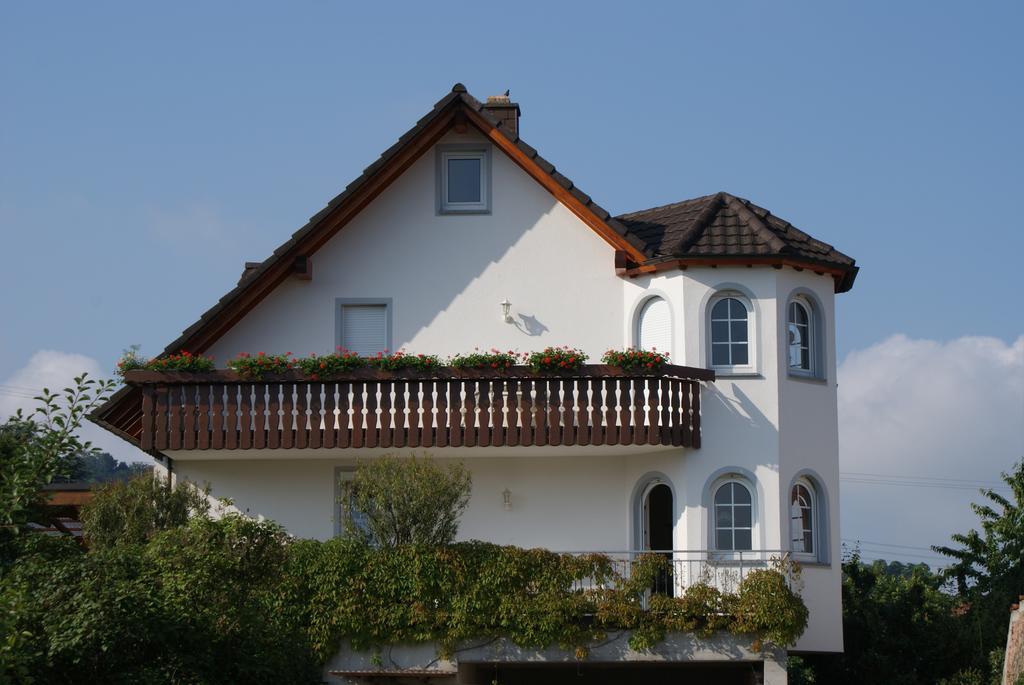 Ferienhaus Irene 福格茨堡 外观 照片